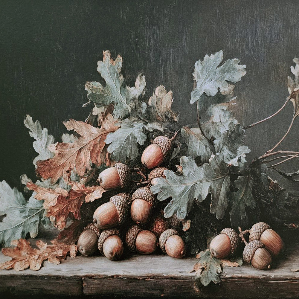 Impression d'art Nature morte au gland