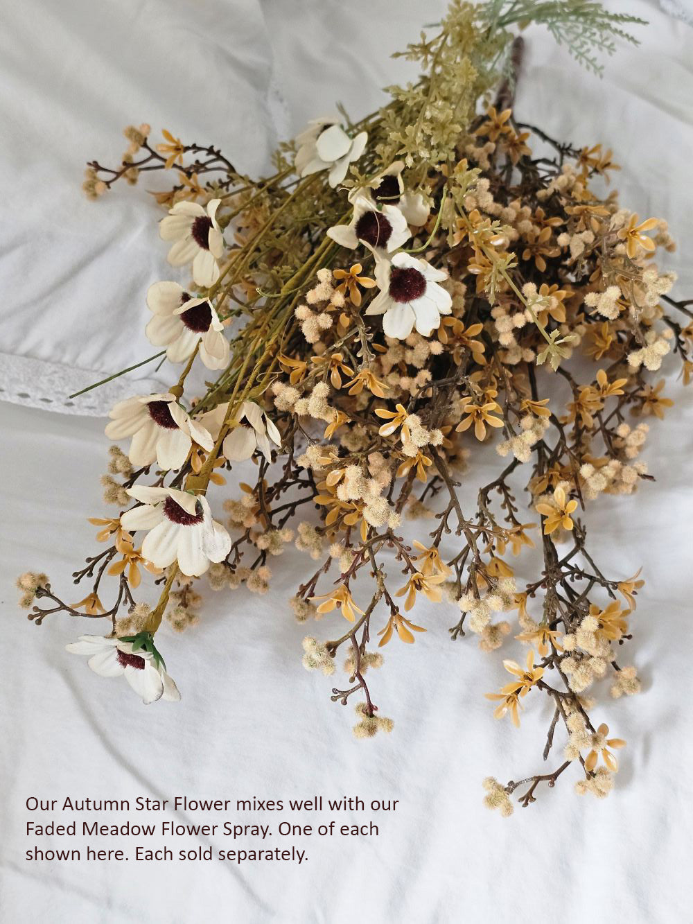 Herfststerbloemstruik met zachte zaaddozen