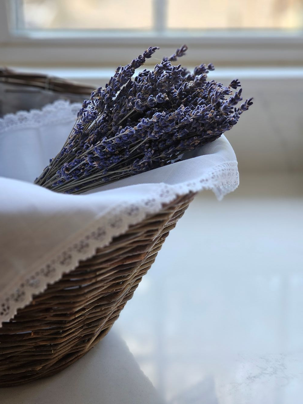 Ramo de Lavanda Francesa em Papel