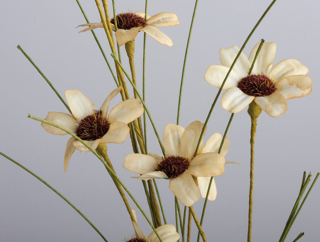 Verblasster Wiesenblumenstrauß