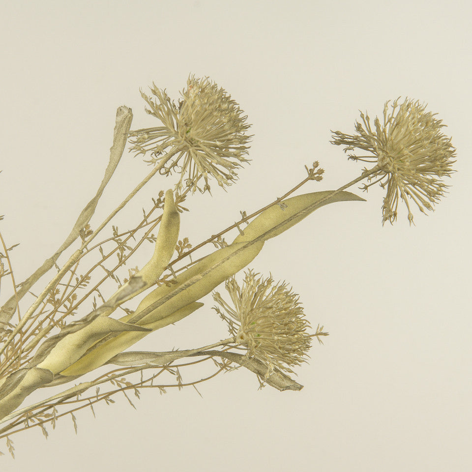 Verblasster Allium-Blütengruß