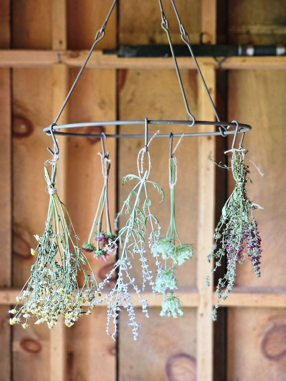 Étagère à herbes séchées de style vintage