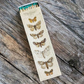 Lange Holzstreichhölzer mit Vintage-Motten-Design
