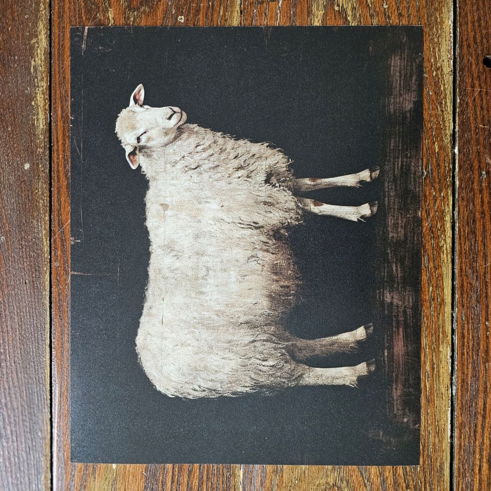 Schaf-Kunstdruck mit dunklem Hintergrund
