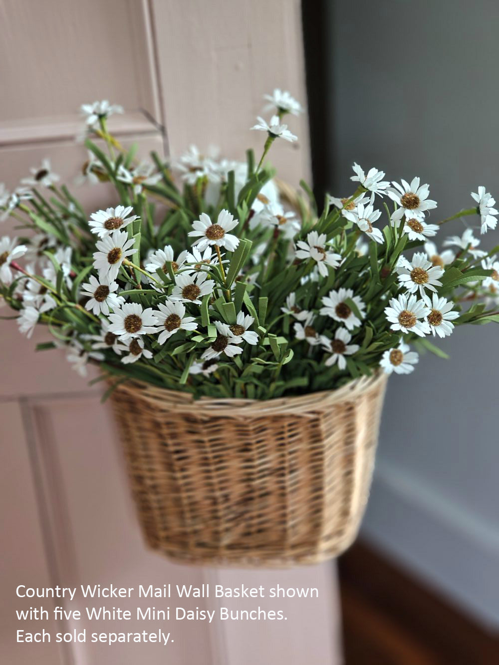Weiße Mini-Gänseblümchen-Pflanze