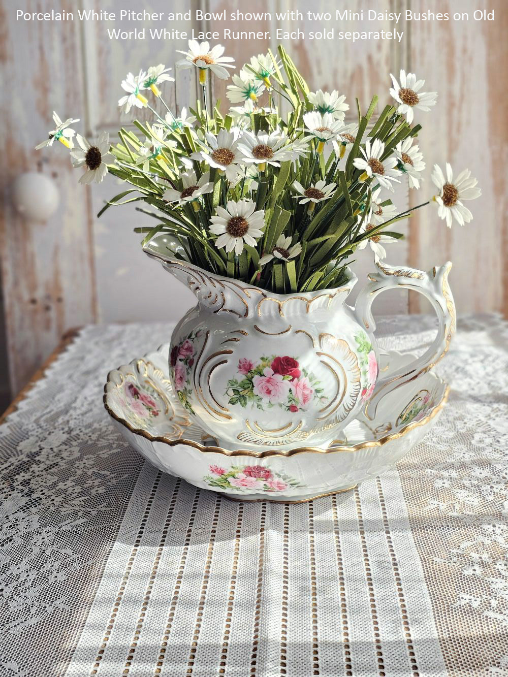 Weiße Mini-Gänseblümchen-Pflanze