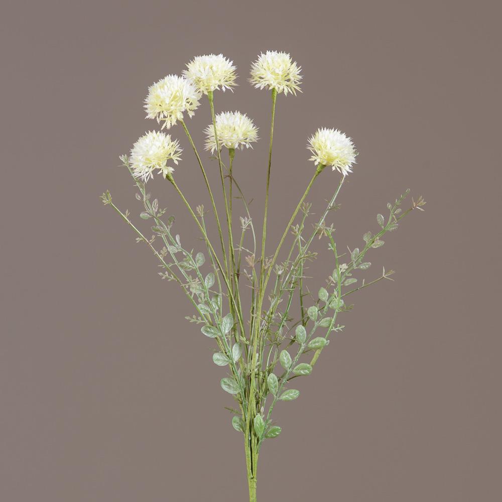 Ramo de Flores Brancas de Allium