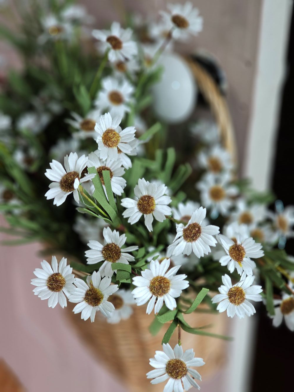 Weiße Mini-Gänseblümchen-Pflanze