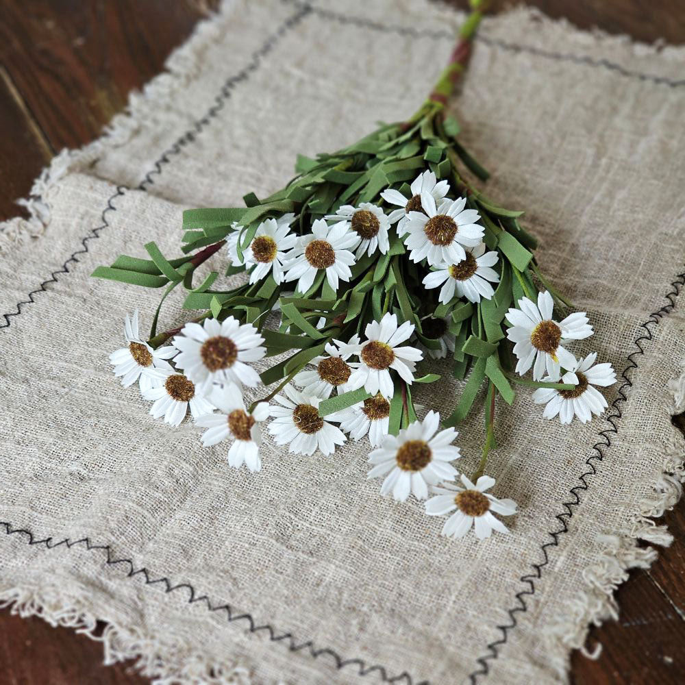 Weiße Mini-Gänseblümchen-Pflanze