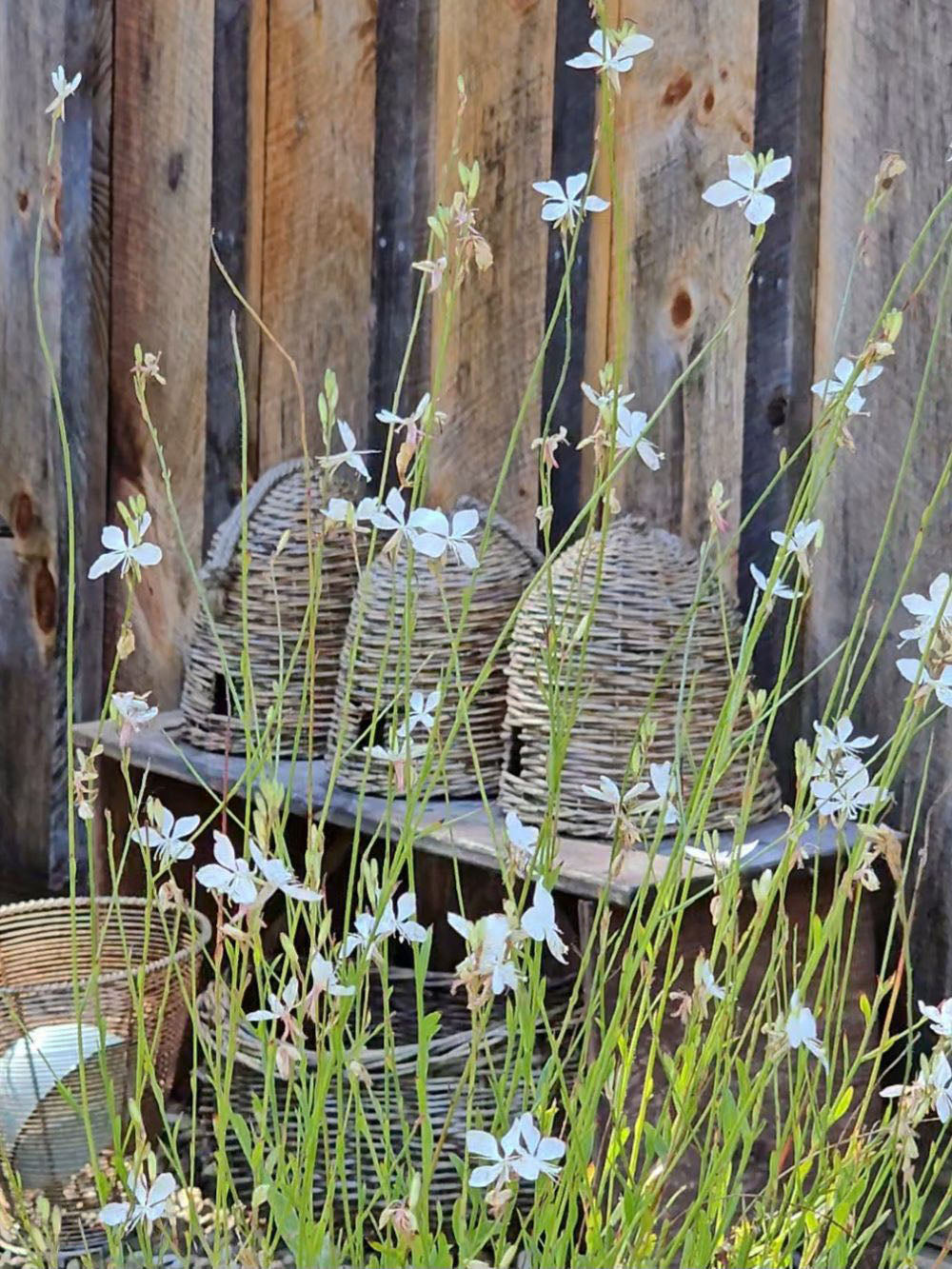 Weiden-Bienenstock aus Jute
